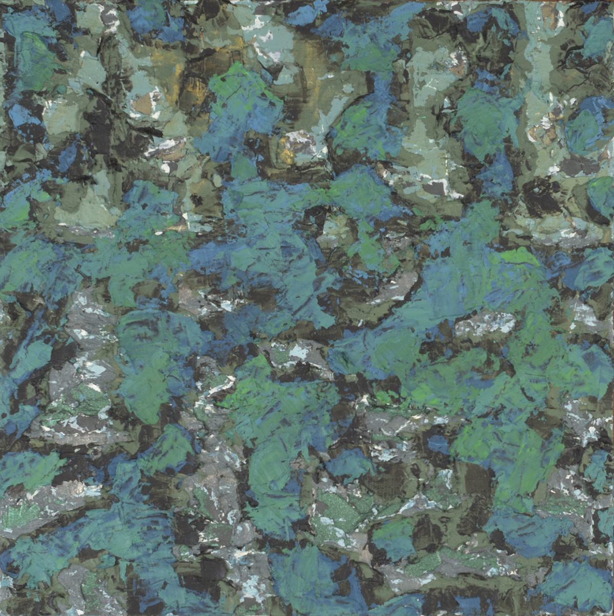 Forest Aerial